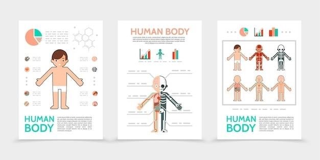 integumentary system study guide